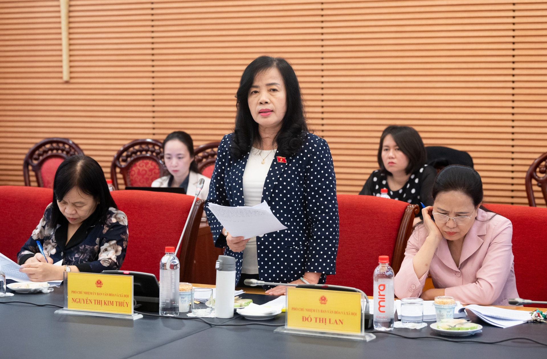 Phó Chủ nhiệm Ủy ban Văn hóa và Xã hội Nguyễn Thị Kim Thúy. Ảnh: ĐBND