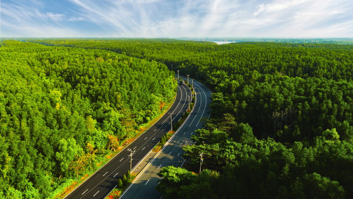 VnExpress Marathon Green Paradise Cần Giờ có đường chạy xanh nhất trong hệ thống VnExpress Marathon