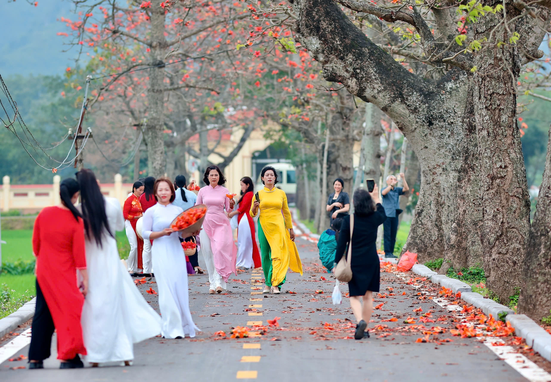         Dưới tán cây, từng nhóm bạn trẻ, gia đình và người yêu nhiếp ảnh tìm đến từ sớm để lưu giữ những khoảnh khắc đẹp nhất.        