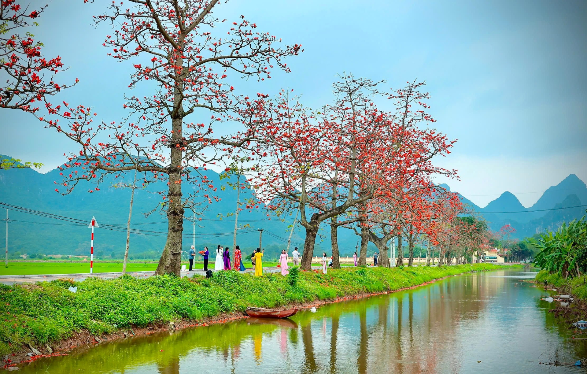 Khi những cánh đồng lúa non còn phủ một màu xanh dịu, cũng là lúc những cây gạo cổ thụ ở Đoan Nữ bắt đầu bung nở. Sắc đỏ rực rỡ nổi bật trên nền trời và đồng ruộng tạo nên khung cảnh vừa đối lập vừa hài hòa, khiến bất cứ ai đi qua cũng phải dừng lại ngắm nhìn.