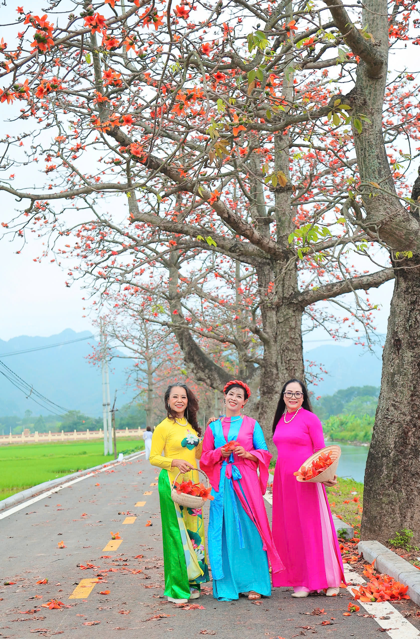 Mùa hoa gạo rực đỏ, làng Đoan Nữ hút khách tìm về ký ức thôn quê