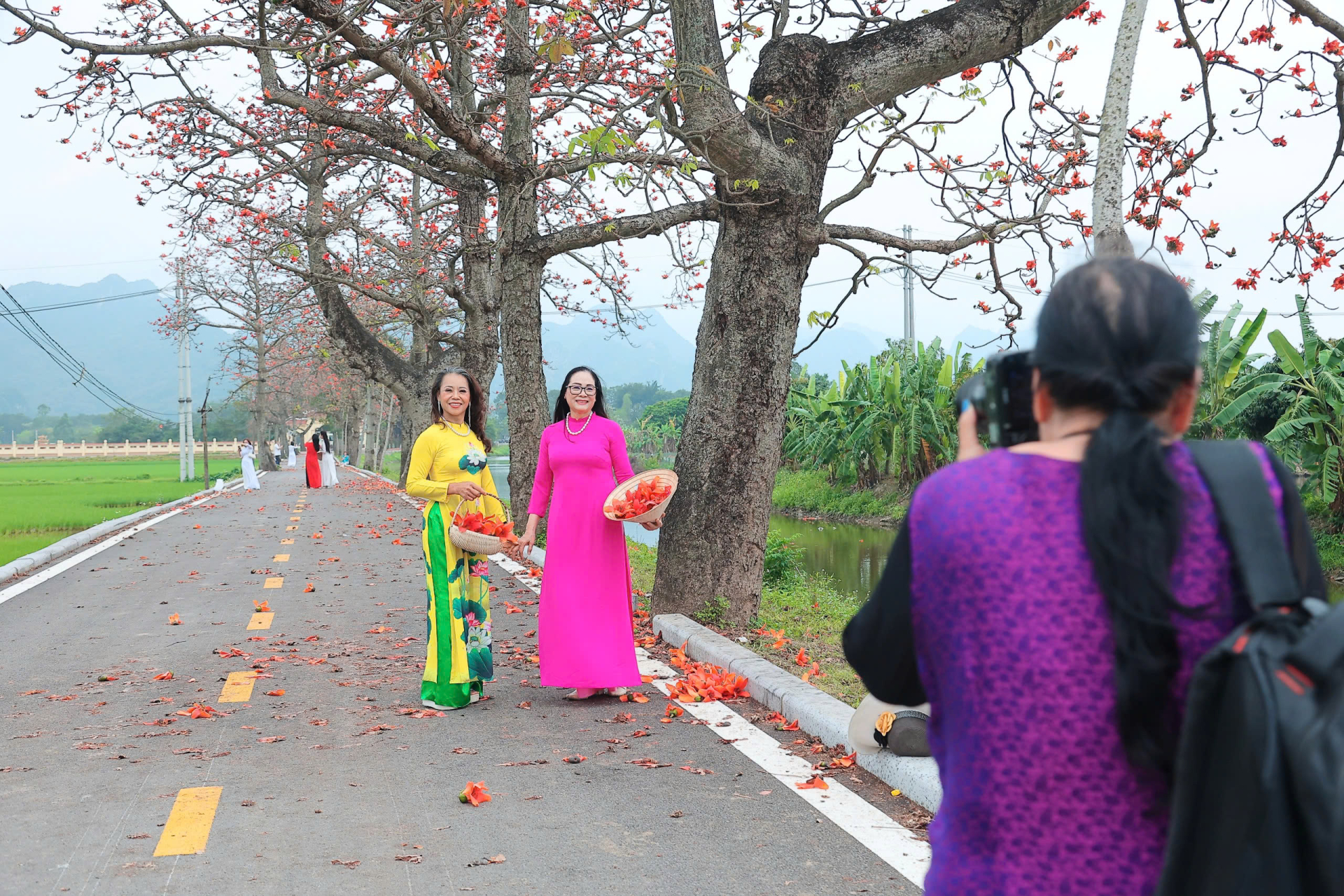 Với giới nhiếp ảnh, hoa gạo là một “đề tài khó” nhưng giàu cảm hứng. Chị Mai, một nhiếp ảnh gia tự do, cho rằng yếu tố ánh sáng đóng vai trò quyết định. “Hoa gạo có màu rất mạnh, nếu không chọn đúng thời điểm sẽ dễ bị gắt. Ở Đoan Nữ, lợi thế là không gian thoáng và cây phân bố đẹp, đặc biệt là lúc sáng sớm hoặc chiều muộn, ánh sáng rất phù hợp để tôn lên màu hoa”, chị nói.