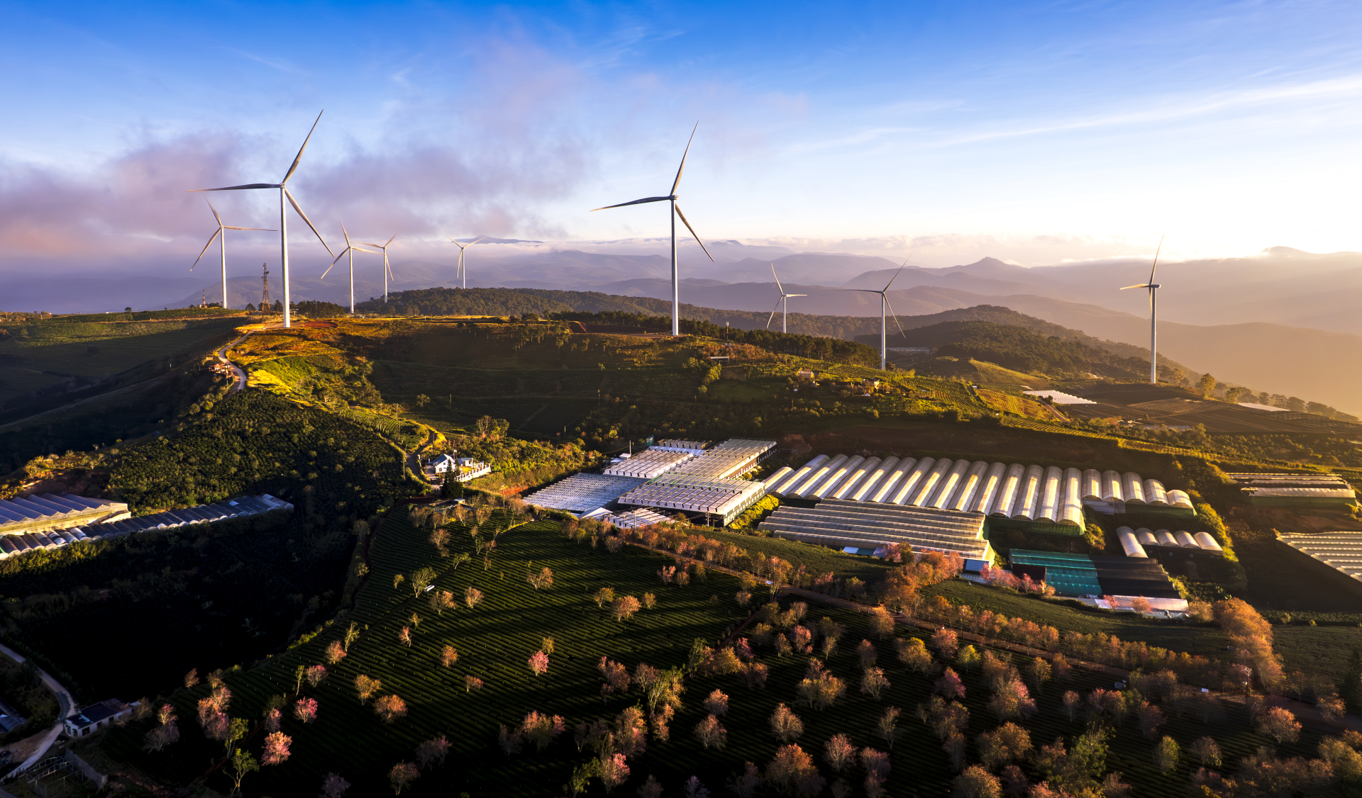 Đẩy mạnh tiết kiệm năng lượng, thúc đẩy chuyển dịch sang năng lượng sạch. Ảnh: Lê Tuấn Thanh chụp tại điện gió Cầu Đất.