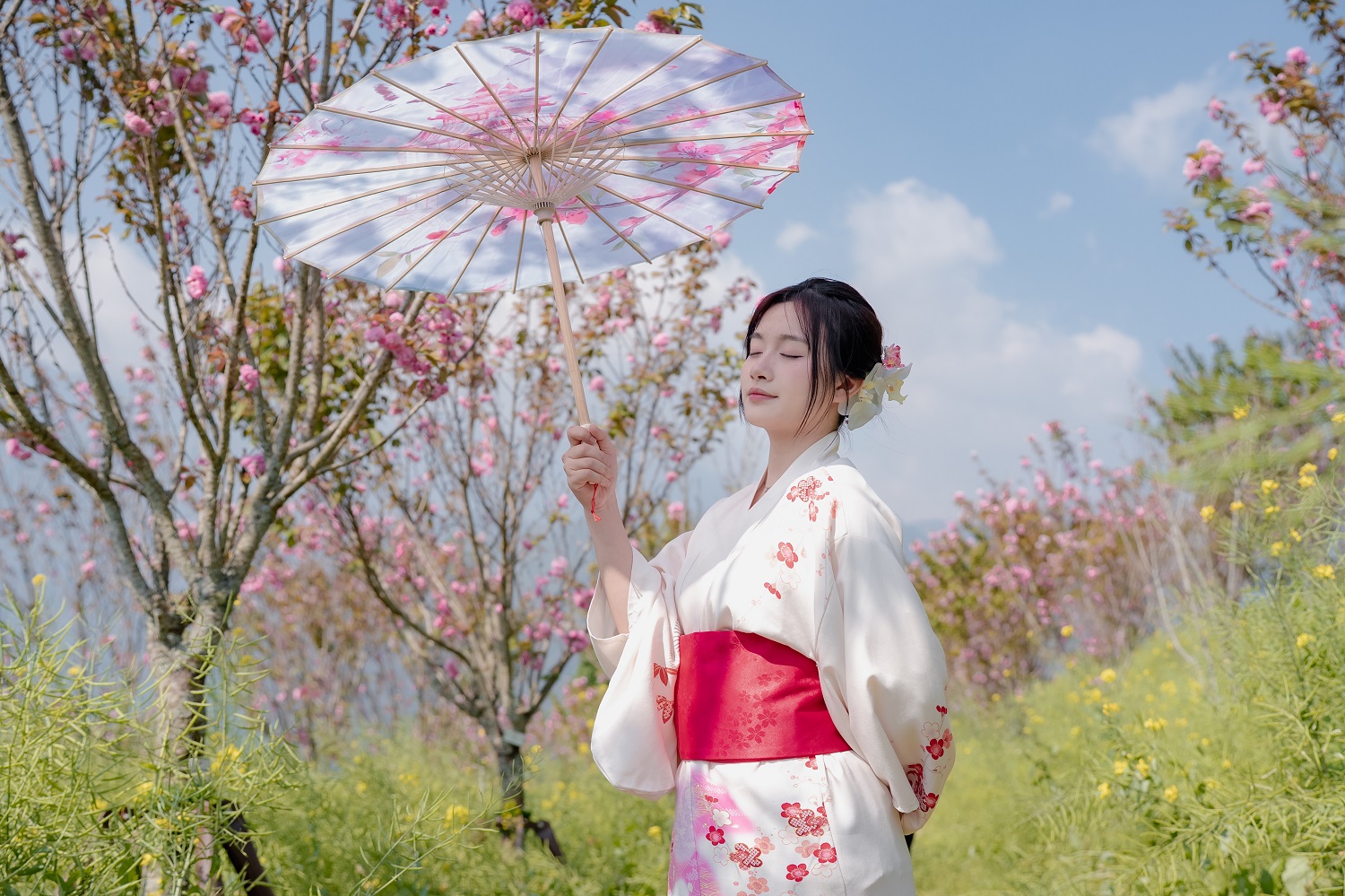 Điểm dừng chân thơ mộng nhất chính là Ga Mường Hoa và lối vào vườn hồng lớn, nơi kiến trúc châu Âu cổ điển quyện vào sắc hồng Á Đông lãng mạn như một thước phim điện ảnh. Những chùm hoa anh đào kép tại đây dường như cũng rực rỡ hơn khi được đặt cạnh những mảng tường mang đậm lối kiến trúc cổ kính.