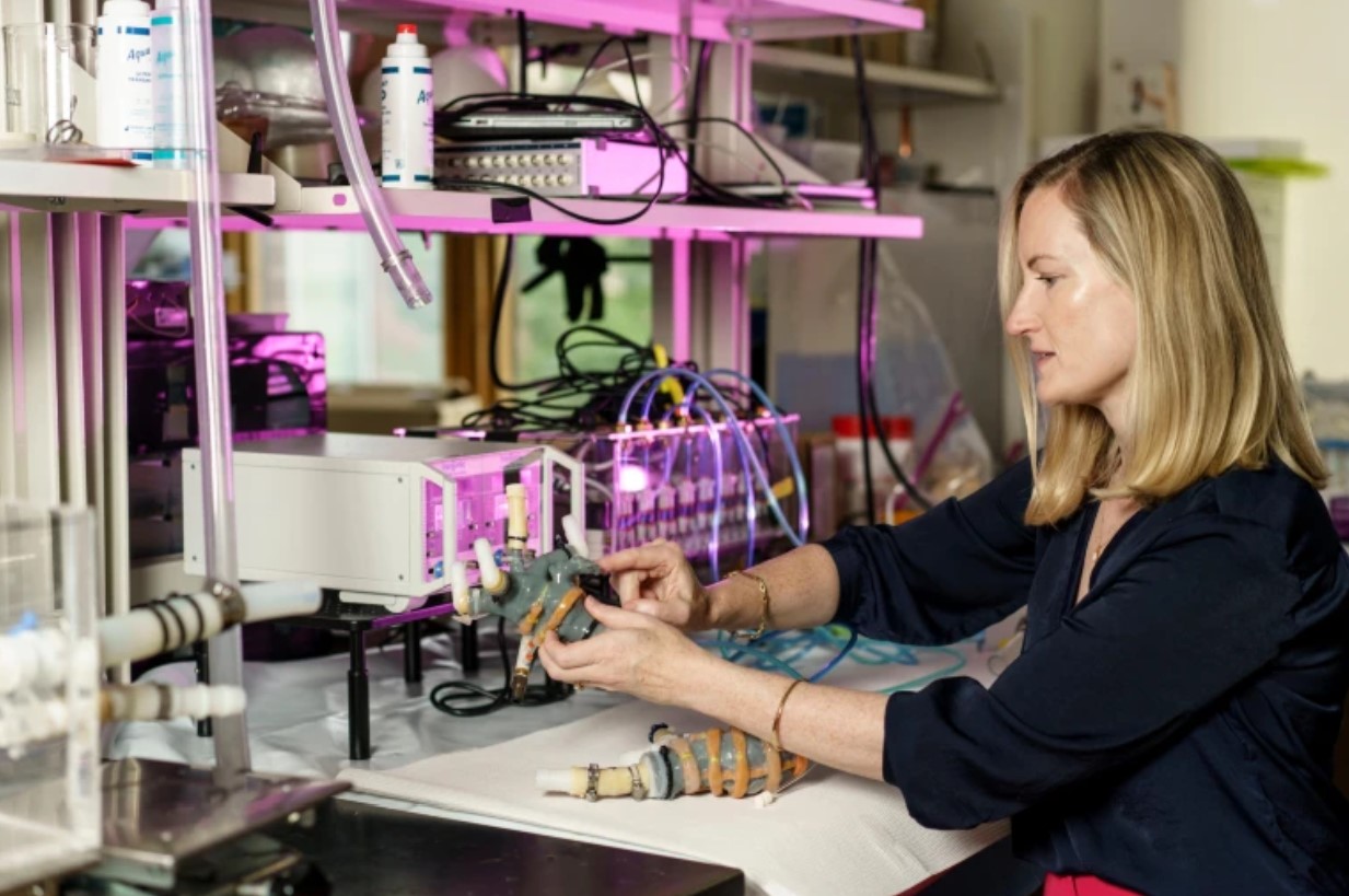 Ellen Roche đang phát triển các thiết bị y tế thế hệ mới để giúp phục hồi tim, phổi và các mô khác. Ảnh: Ellen Roche