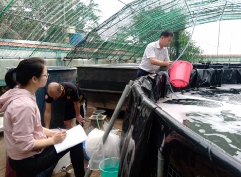 TS. Đỗ Mạnh Hào cùng nhóm nghiên cứu trực tiếp kiểm tra mô hình nuôi tôm thí nghiệm tại hiện trường.