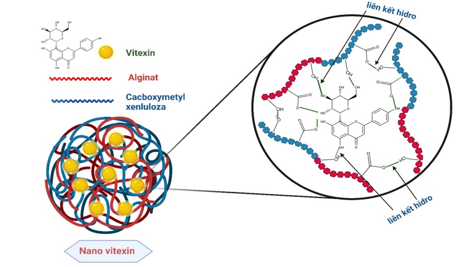 Sơ đồ cấu trúc của hệ nanovitecxin