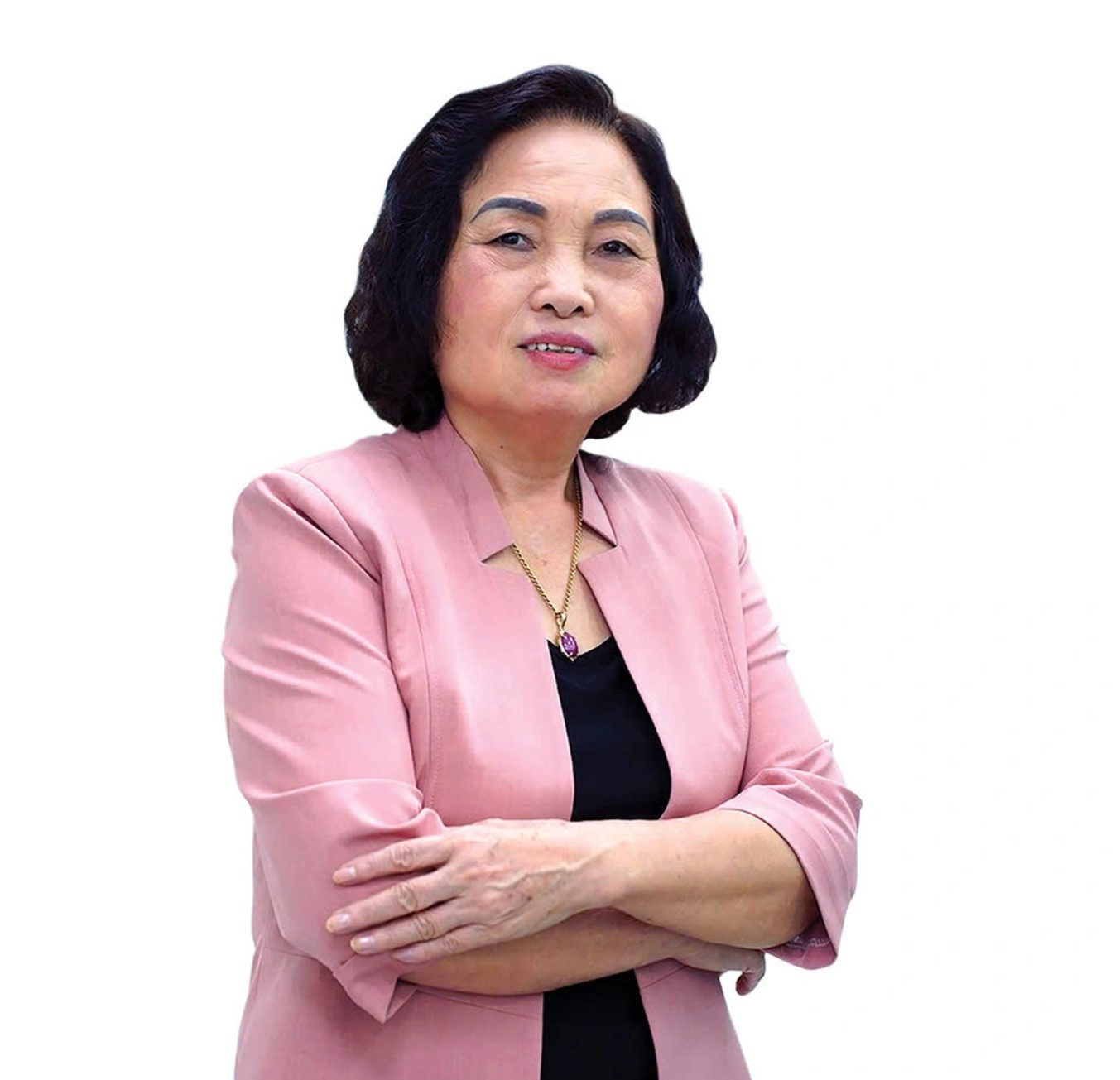 GS.TS Lê Thị Hợp, Chủ tịch Hội Nữ trí thức Việt Nam