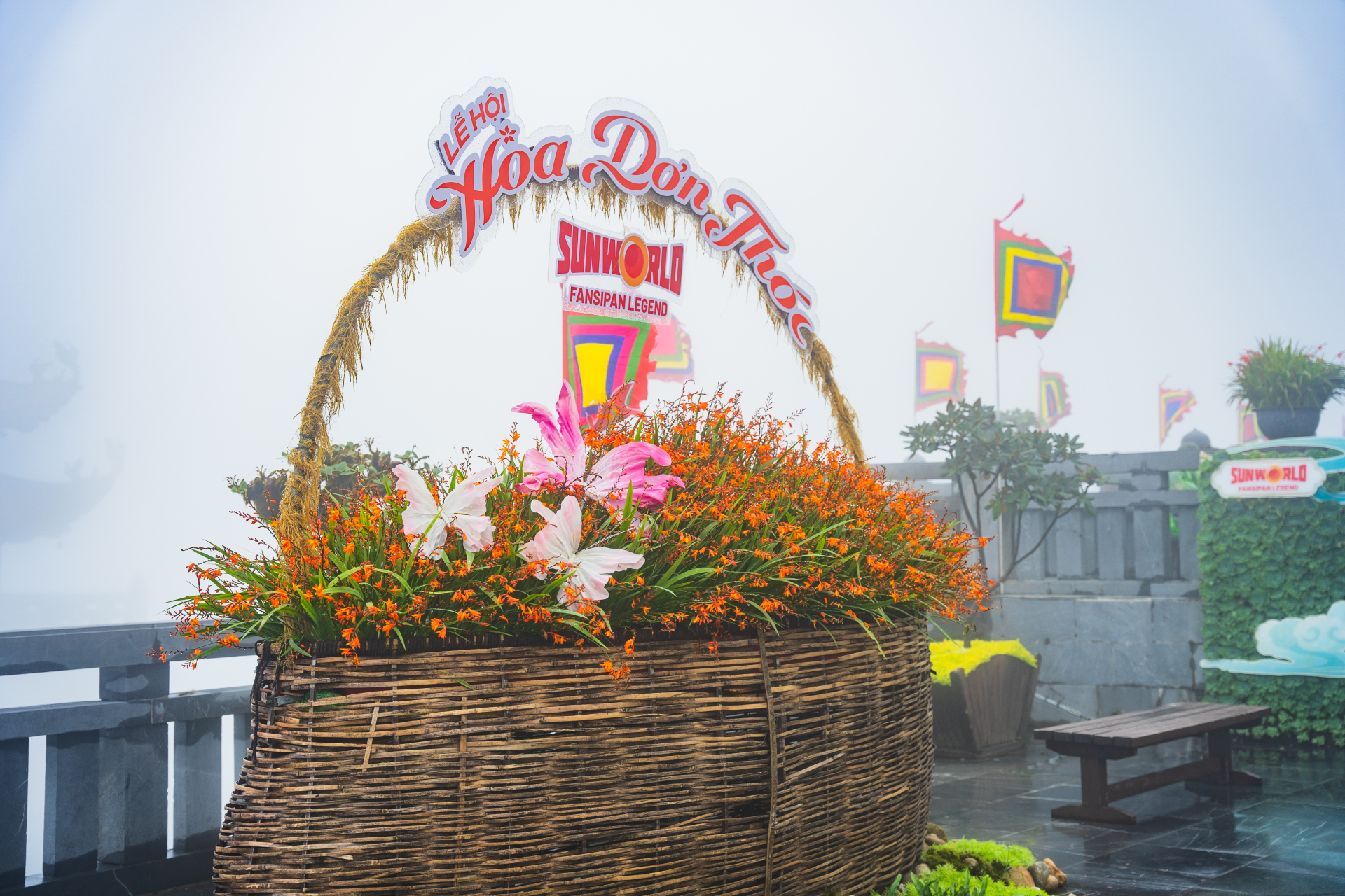Sắc hoa một lần nữa tạo nên diện mạo ấn tượng cho đỉnh thiêng.