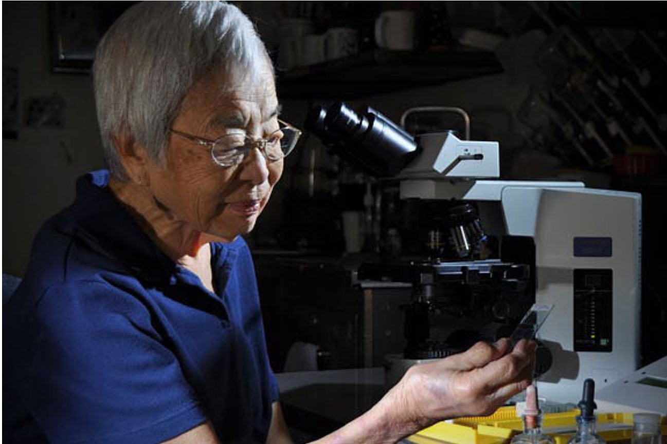 Isabella Aiona Abbott, ở tuổi 90, đang làm việc trong phòng thí nghiệm của mình. Ảnh: hawaii.edu