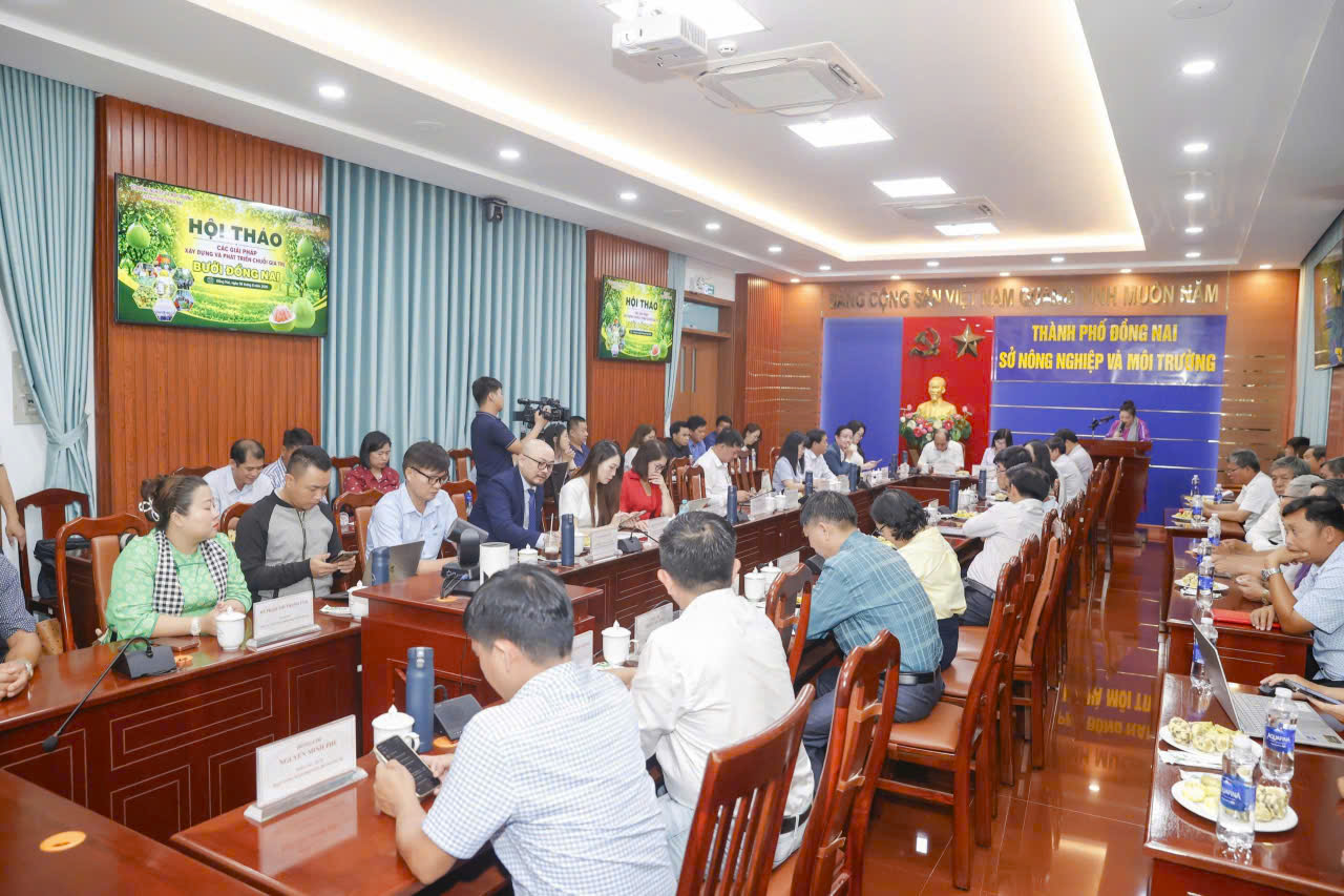 Đại biểu tham dự hội thảo tập trung làm việc