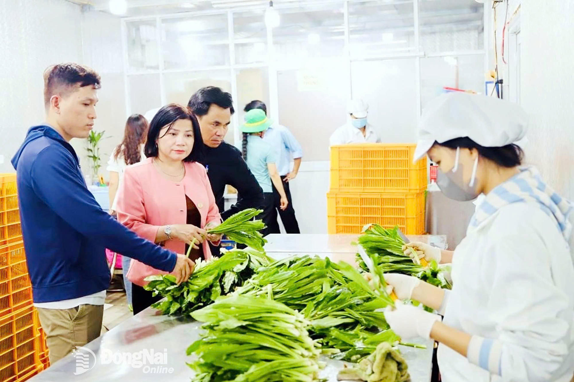 Nữ lãnh đạo kiến tạo giá trị mới cho nông nghiệp Đồng Nai