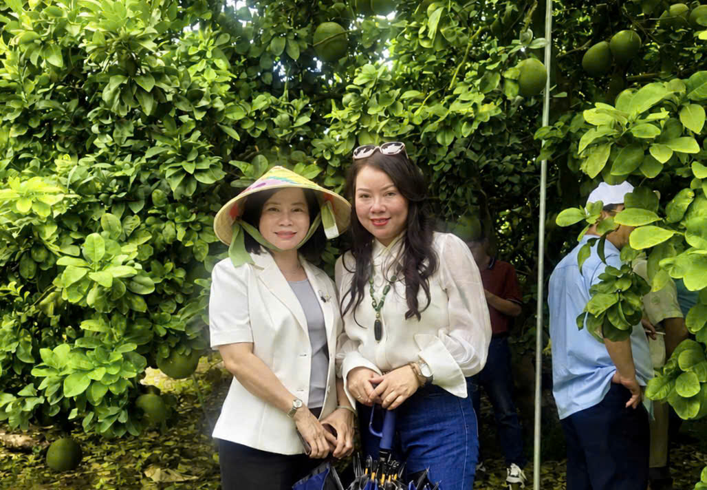 Bà Lê Thị Ánh Tuyết và bà Trần Thị Minh Hà, chủ tịch CLB Doanh nông Việt Nam trong chuyến công tác khảo sát vùng trồng bưởi Đồng Nai