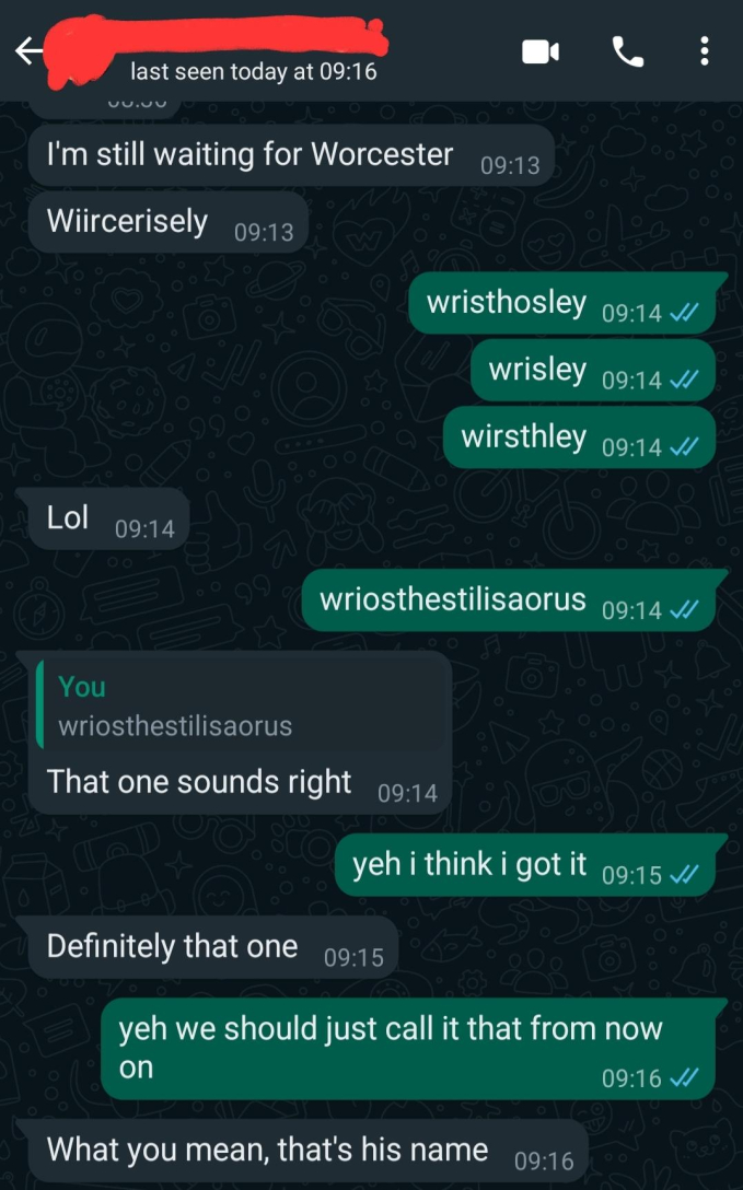   Đôi bạn “cùng tiến” đã không thể viết tên Wriothesley một cách chính xác.  