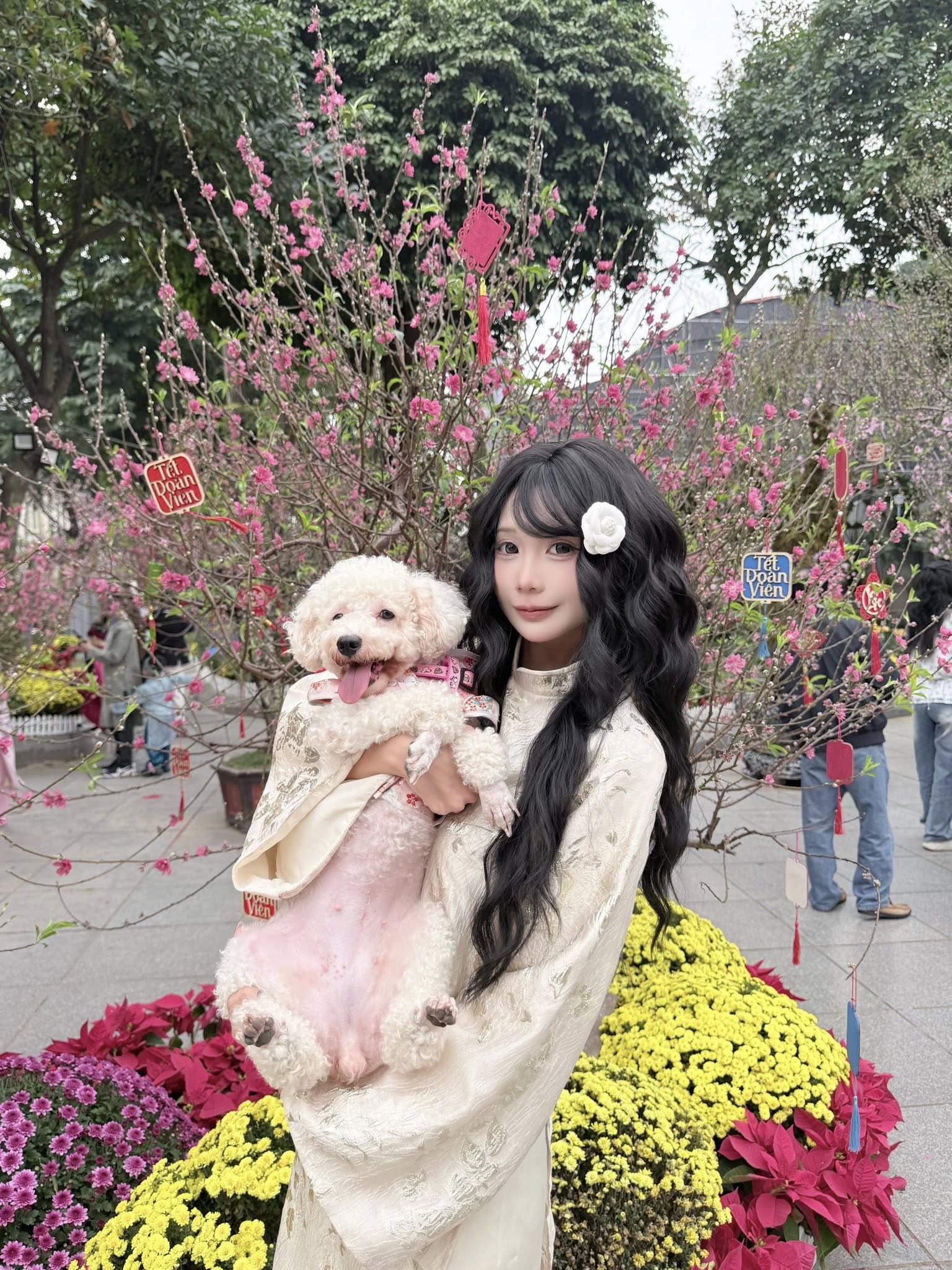 Cosplay rồi nhảy như idol, hot girl xinh đẹp khiến anh em