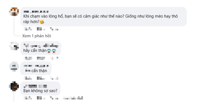 Quay video ngay bên cạnh thú dữ, hot girl khiến người xem 