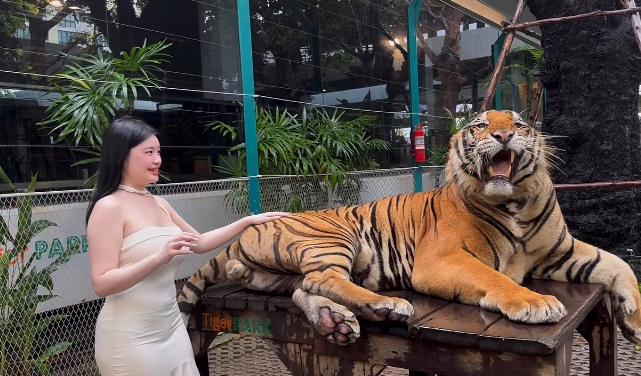 Quay video ngay bên cạnh thú dữ, hot girl khiến người xem 