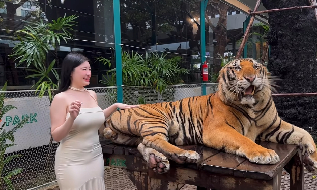 Quay video ngay bên cạnh thú dữ, hot girl khiến người xem 