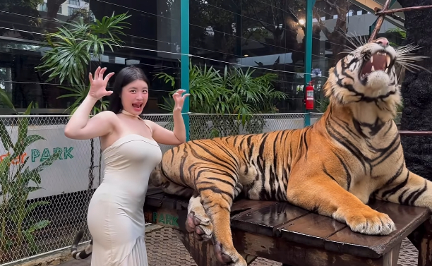 Quay video ngay bên cạnh thú dữ, hot girl khiến người xem 