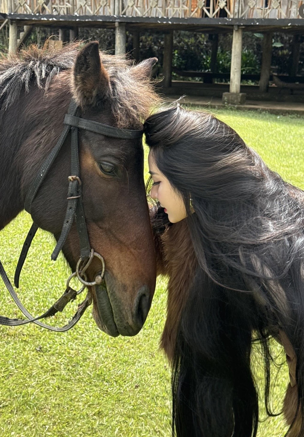 Rời yên ngựa để 