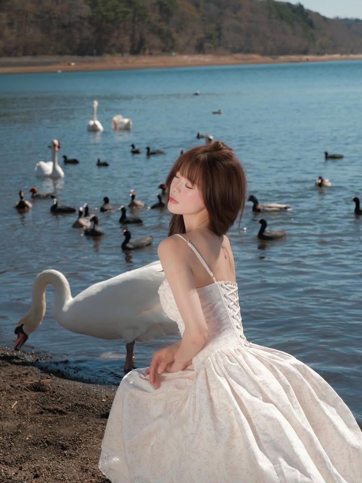 Chụp ảnh với thiên nga, hot girl như bước ra từ chuyện cổ tích