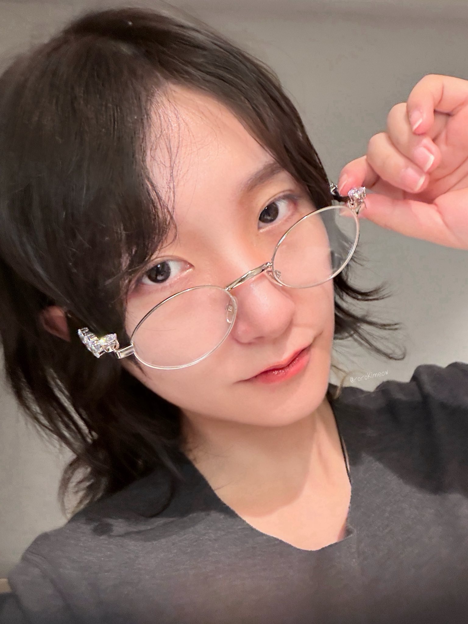 Ngỏ ý ghé thăm Việt Nam, 