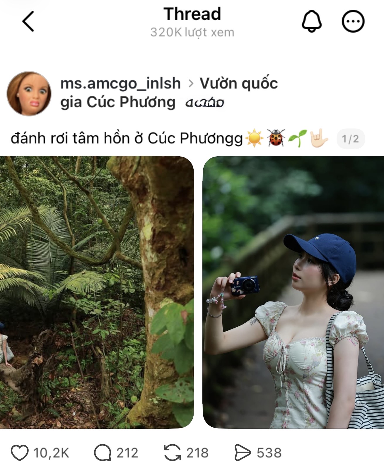 Hơn 320.000 lượt xem cô gái đi săn bướm, bộ ảnh đẹp tựa tiên cảnh gây bão mạng