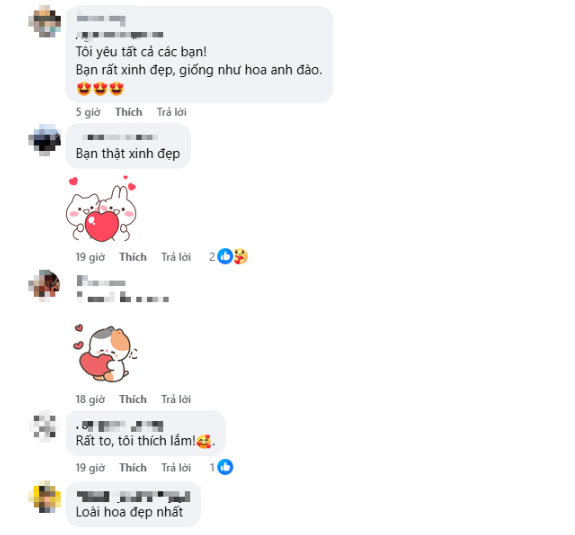 Ngây ngất với bộ ảnh hoa đào của nữ coser nổi tiếng, cảnh đẹp mê ly khiến người xem hết lời khen ngợi