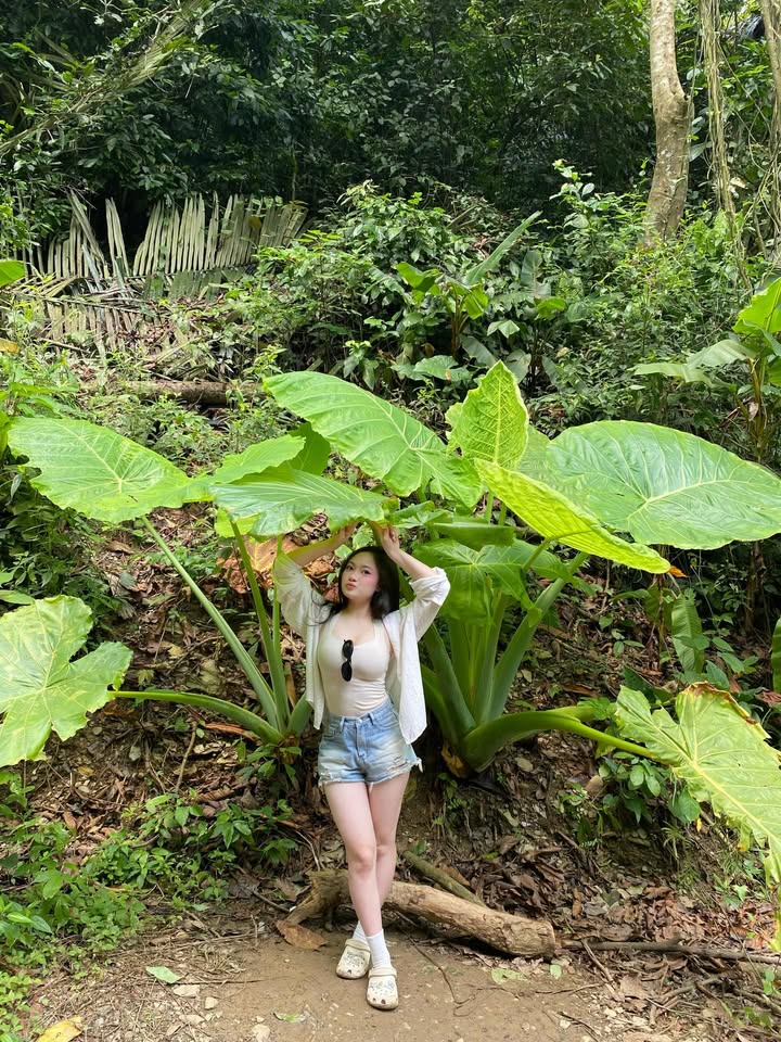 Bộ ảnh 