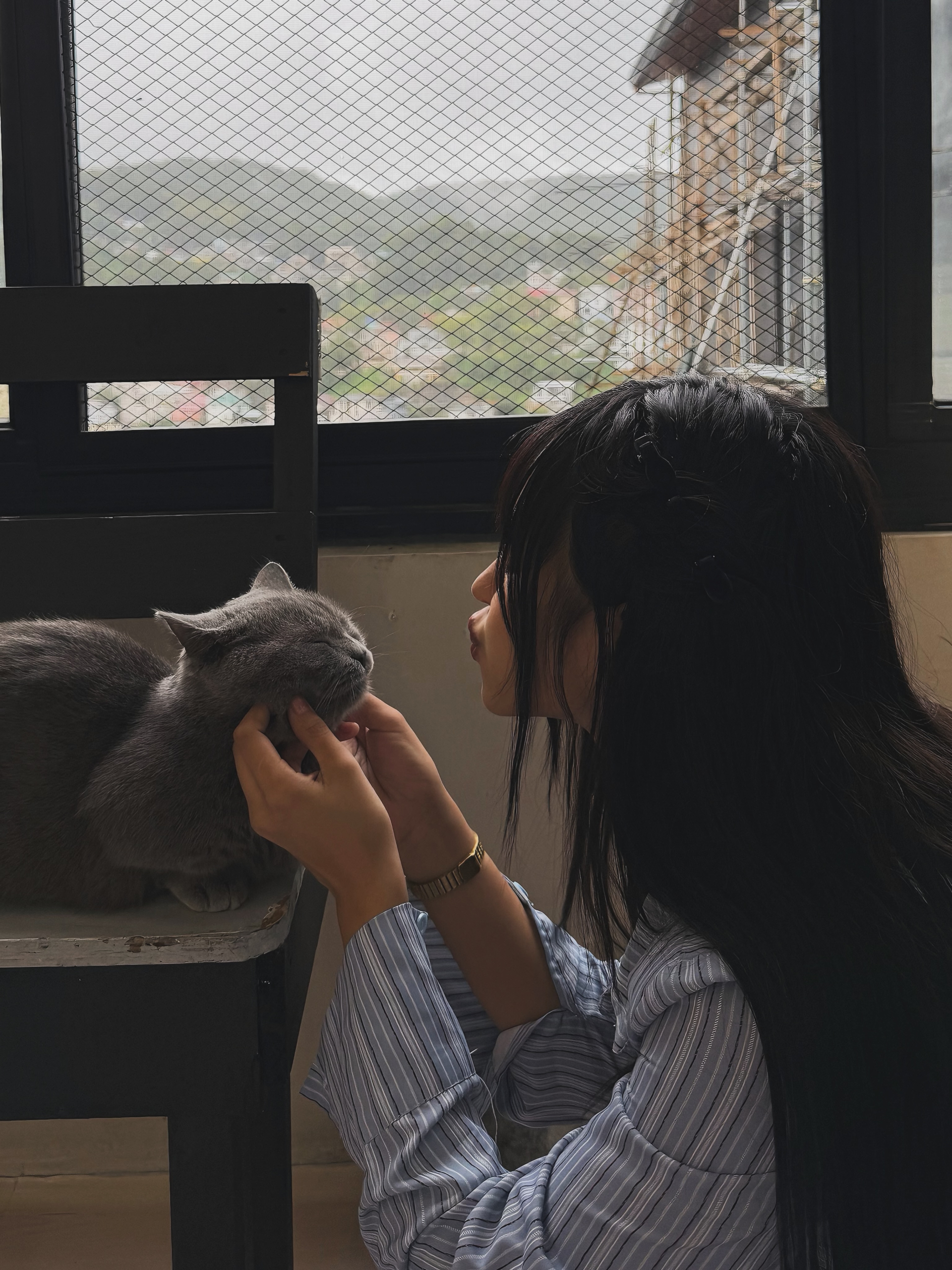 Cafe mèo dễ thương như thế này, bảo sao hội chị em không 