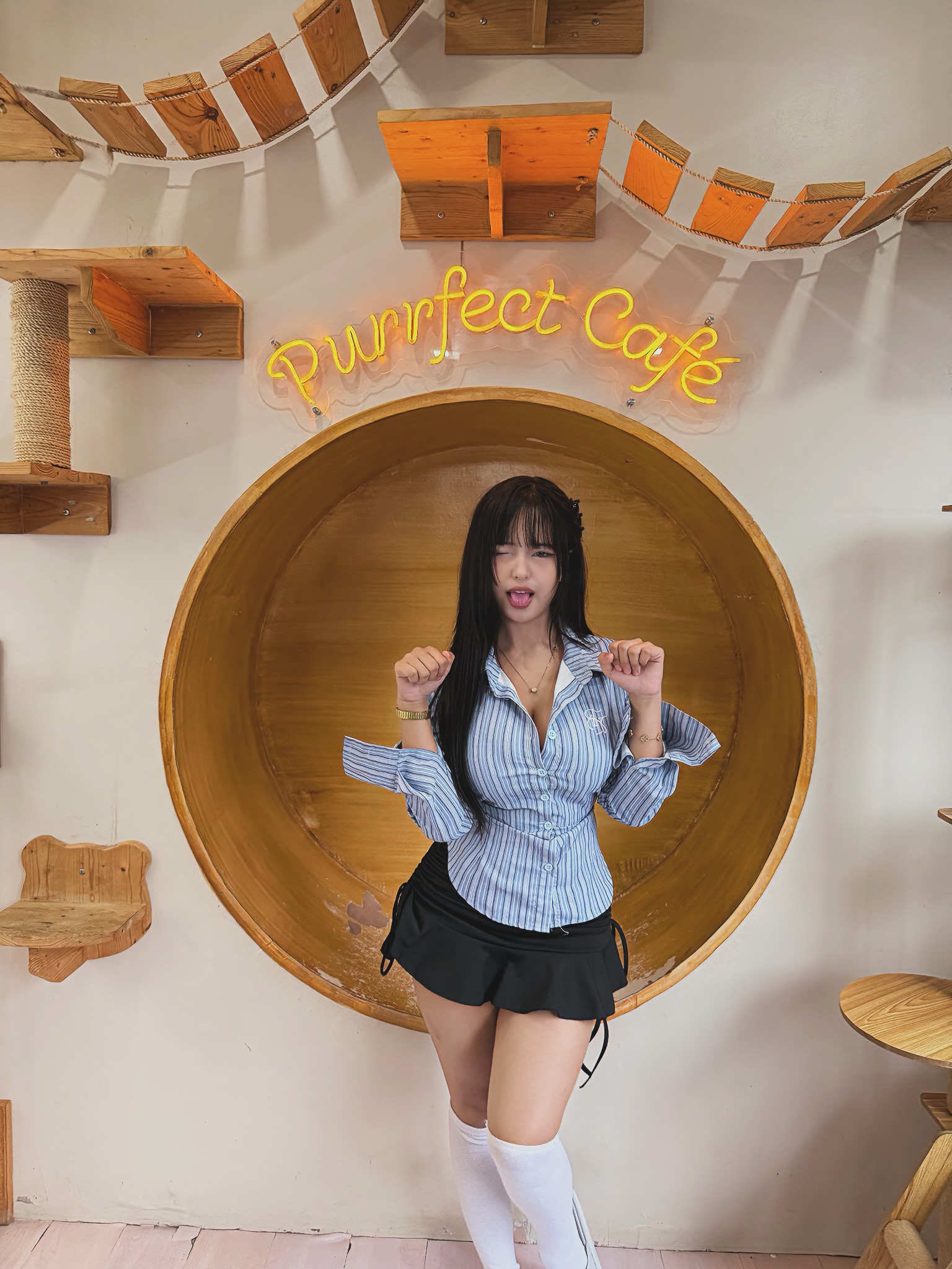 Cafe mèo dễ thương như thế này, bảo sao hội chị em không 