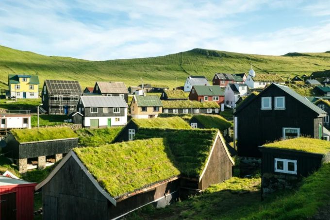 Có ánh nắng mặt trời và thảm thực vật ở khắp mọi nơi xung quanh các ngôi nhà mái cỏ ở Quần đảo Faroe, người dân địa phương sống 