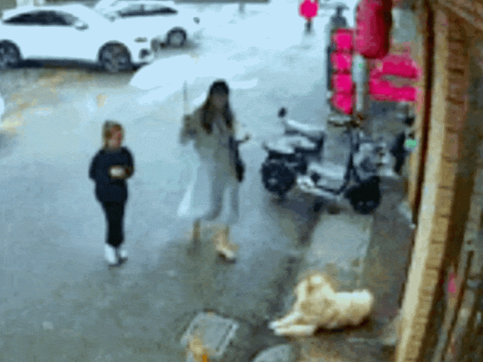 Vuốt ve con chó bên đường rồi bị cắn nát mặt, người phụ nữ yêu cầu bồi thường thì bị dân mạng phản bác: 