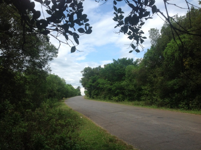 Hình ảnh đường đi qua truông nhà Hồ hiện tại ở Vĩnh Linh, Quảng Trị. Ảnh: Báo Quảng Trị