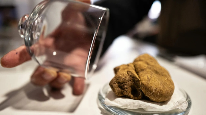 Nấm truffle trắng của Ý đang có giá ngày càng cao hơn khi nguồn cung dần cạn kiệt.