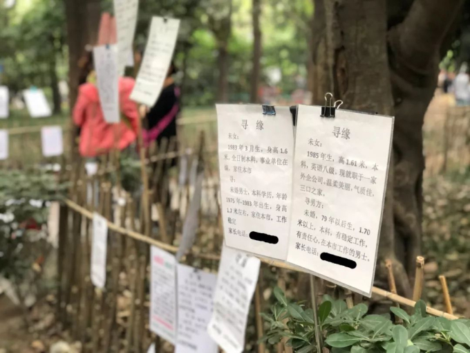 Nghề mai mối dạo trong công viên ở Thượng Hải (Trung Quốc): Mua dịch vụ hơn 300.000/tháng thì có thể tìm được bạn đời lý tưởng?