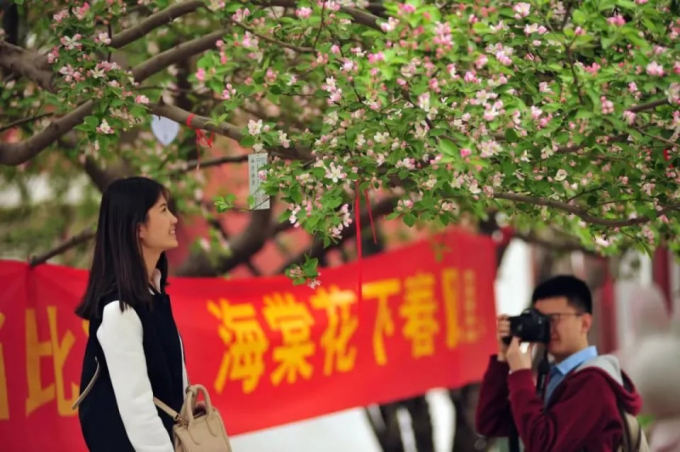 Mùa hoa hải đường cực hút khách ở thành phố Trung Quốc: Đứng góc nào cũng có ảnh đẹp, món 