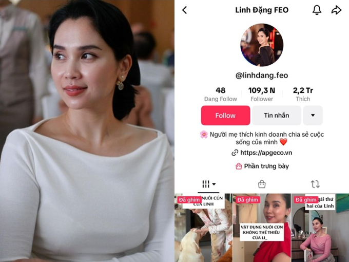 Kênh TikTok của Đặng Linh FEO.