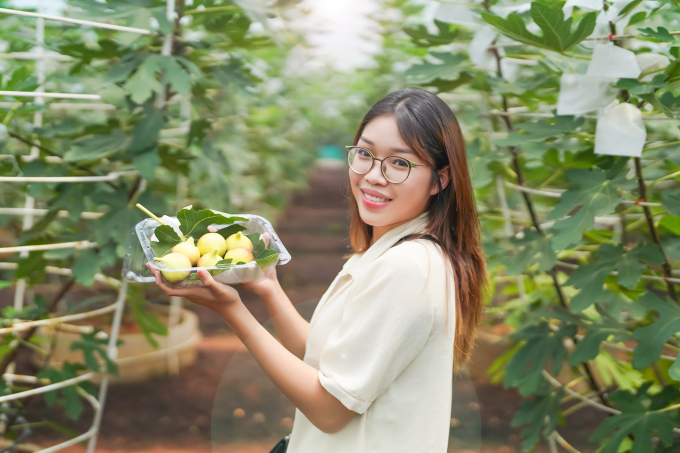 Độc đáo trải nghiệm hái trái lạ, ăn bồ câu hầm sung Mỹ lần đầu tiên xuất hiện tại TPHCM dịp nghỉ lễ Quốc khánh 2/9