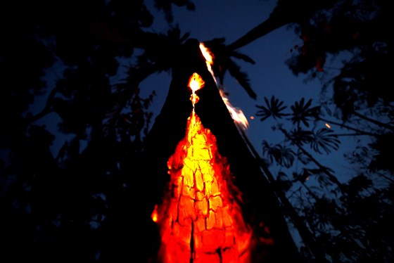 Một cây đang cháy trong một khu vực của rừng mưa nhiệt đới Amazon ở Itapua do Oeste, bang Rondonia, Brazil, tuần trước. Bruno Kelly / Reuters
