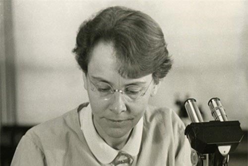 Barbara McClintock được xem là một trong những nhà khoa học về di truyền có tầm ảnh hưởng mạnh mẽ nhất. Nobel sinh học 1983.