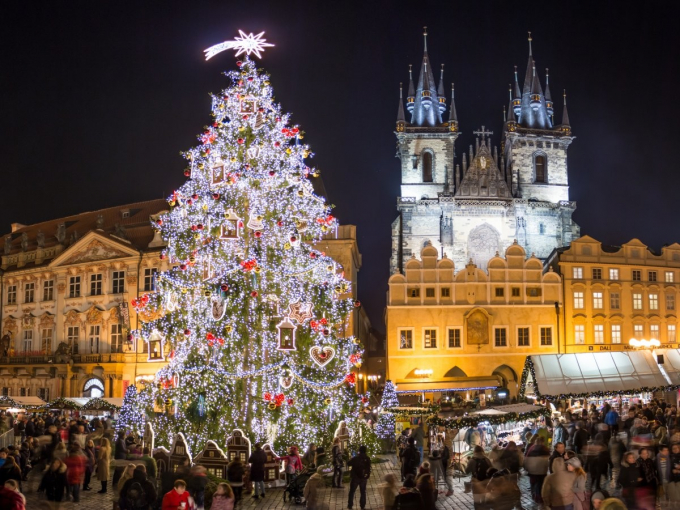 Cây thông Noel siêu lớn mua từ Pecka, một thị trấn nằm ở phía đông bắc Prague.