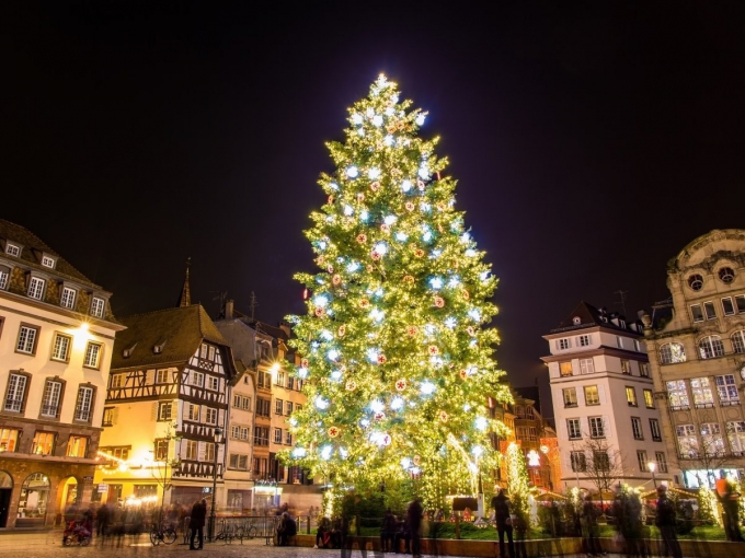 Cây Thông rực rỡ tỏa nắng sắc màu như lạc vào xứ sở thần tiên tại Strasbourg, Pháp
