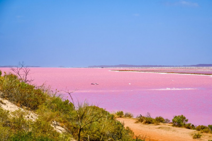   Hồ Hillier, Tây Australia. Các nhà khoa học cho rằng, màu hồng của nước hồ xuất phát từ phản ứng giữa nồng độ muối và natri bicarbonate cao trong nước.  