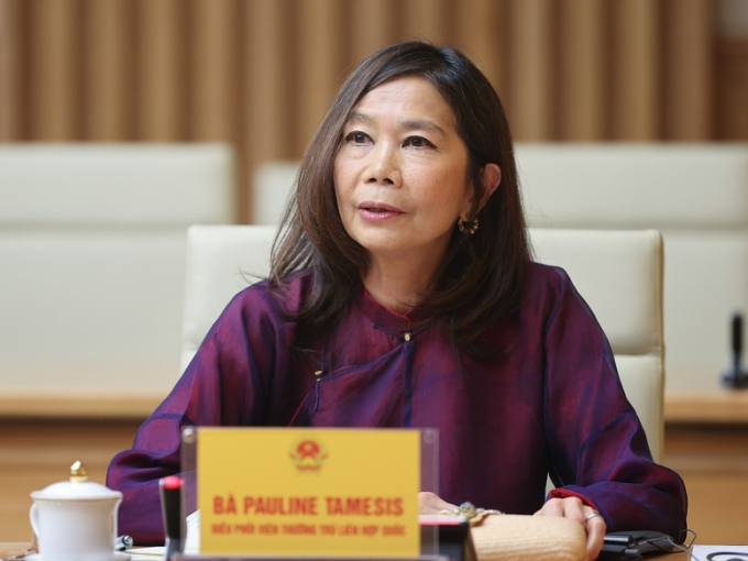 Điều phối viên Thường trú  LHQ Pauline Tamesis phát biểu tại cuộc gặp mặt