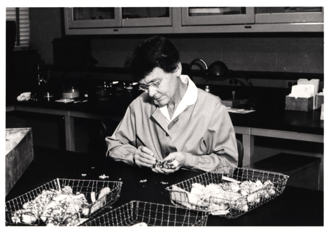 Barbara McClintock trong phòng thí nghiệm tại Cold Spring Harbor, tháng 4 năm 1963 Viện Y tế Quốc gia. Được phép của Barbara McClintock Papers, Hiệp hội Triết học Hoa Kỳ. Nhiếp ảnh gia không rõ