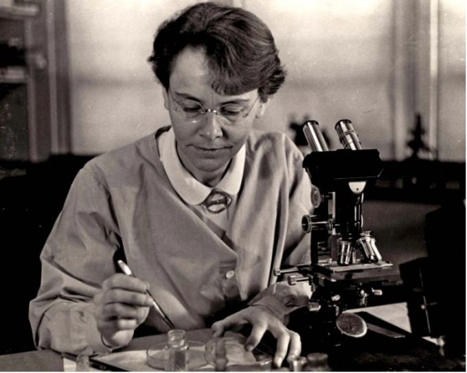 Barbara McClintock trong phòng thí nghiệm tại Cold Spring Harbor, New York, ngày 26/3/1947. Nguồn: Thư viện Hiệp hội Triết học Hoa Kỳ