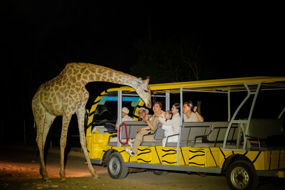 Night Safari đưa du khách xuyên qua rừng đêm, tiếp cận thế giới mãnh thú hoang dã ở cự ly gần