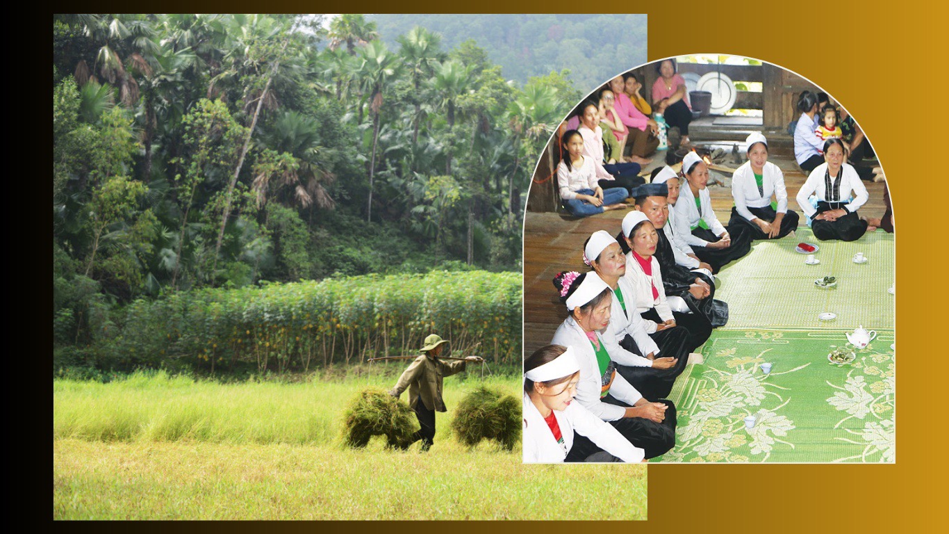 Điều Ánh Tuyết mong muốn chính là góp phần mang lại 