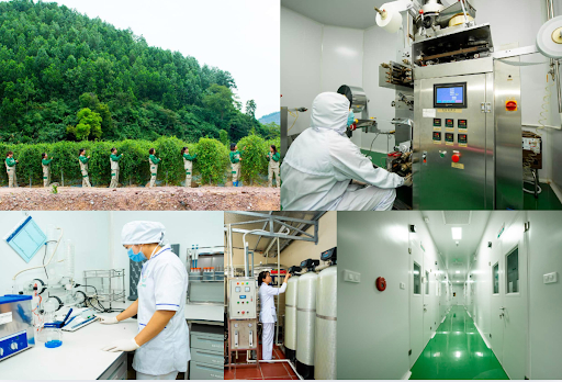 Viên An Đường Đông Bắc: Giải pháp thảo dược hỗ trợ đường huyết đạt OCOP 4 sao